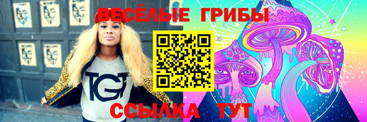 Галлюциногенные грибы мухоморы Моршанск