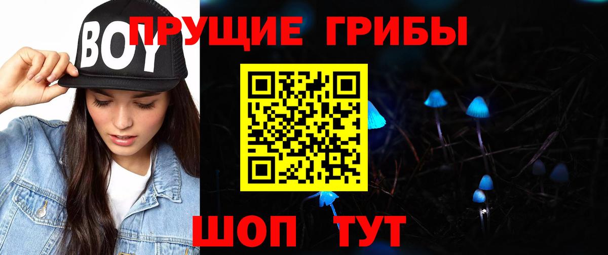 Моршанск  Галлюциногенные грибы Cubensis  Вход с VPN 